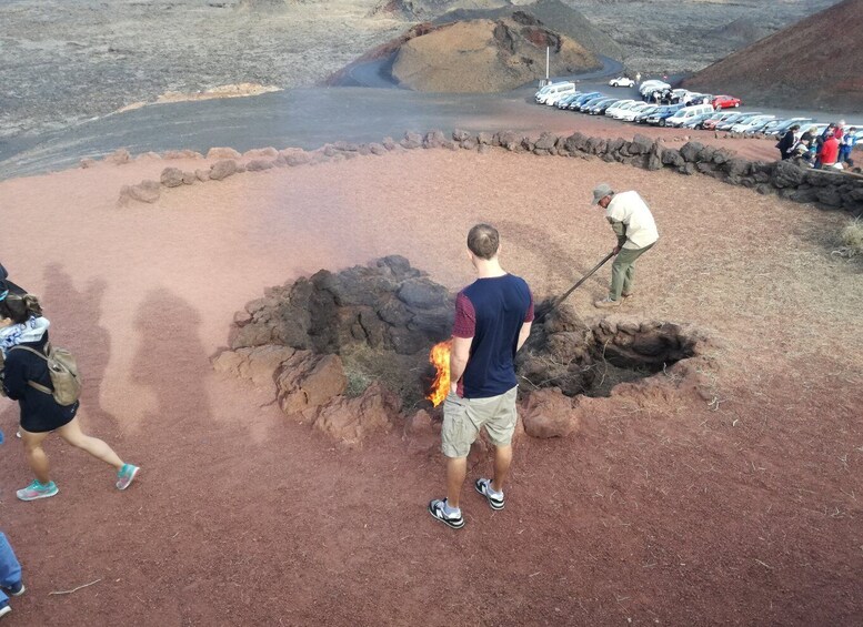 Picture 7 for Activity Lanzarote: 5-Hour Timanfaya National Park Southern Tour