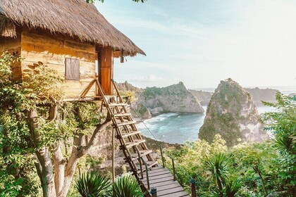 Best Iconic West and East Nusa Penida Island Tour - All-inclusive