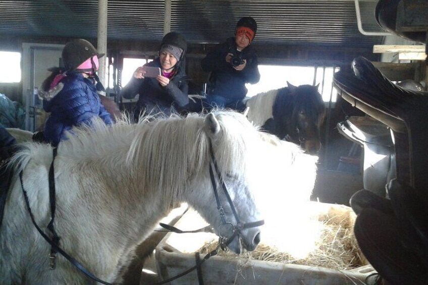 Family Horse Riding Tour in Thorlakshofn