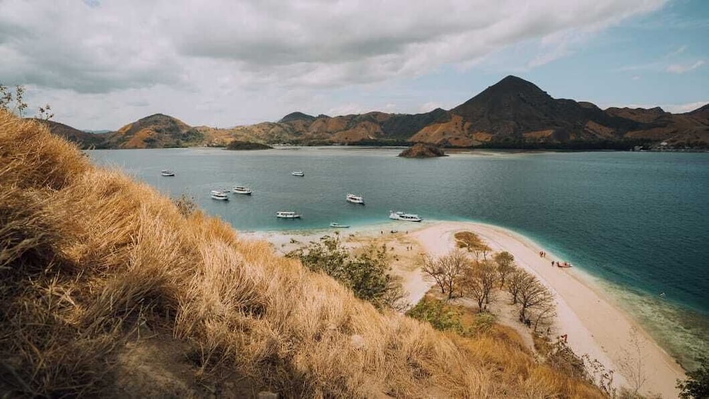 Explore Komodo Island Tour by East Cruise Komodo