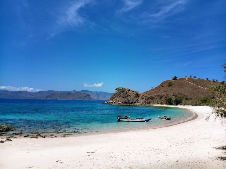 Explore Komodo Island Tour by East Cruise Komodo