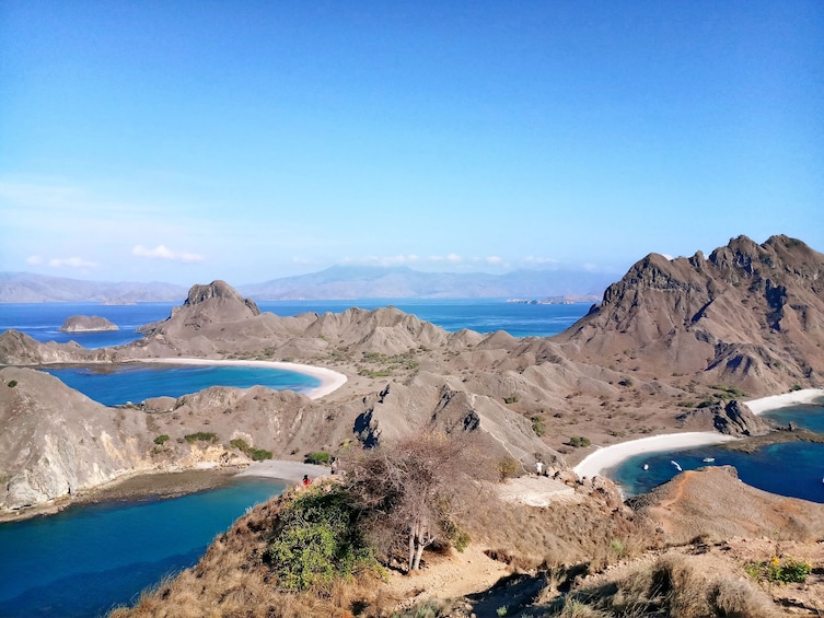 Explore Komodo Island Tour by East Cruise Komodo