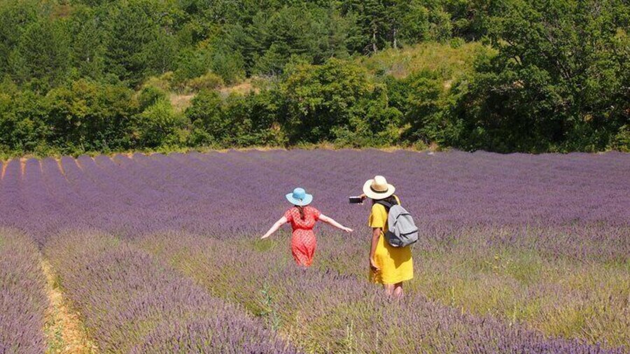Lavender Full-day Tour in Sault From AIX-EN-PROVENCE