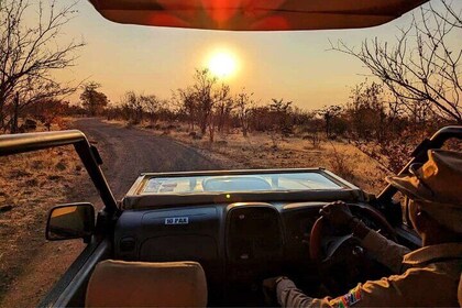 Unique Safari Game Drives in Zambezi National Park, 4 Options