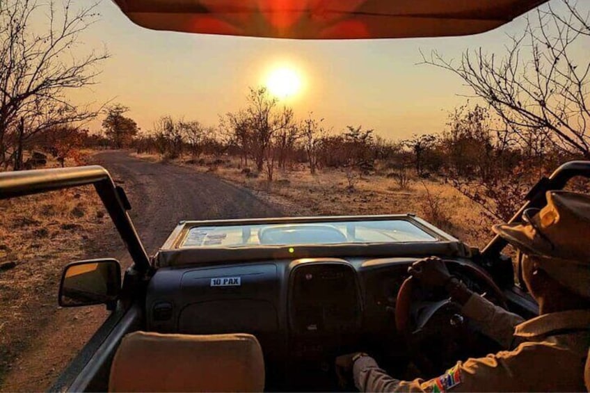 Safari Game Drive in Zambezi National Park pick up