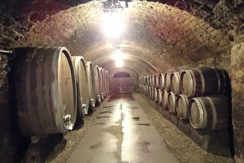 Caves St. Martin, Remich