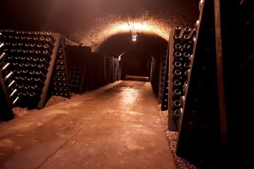 Caves St Martin , Remich