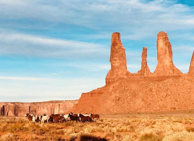 Picture 4 for Activity Monument Valley: 3-Hour Sunrise Tour with Navajo Guide