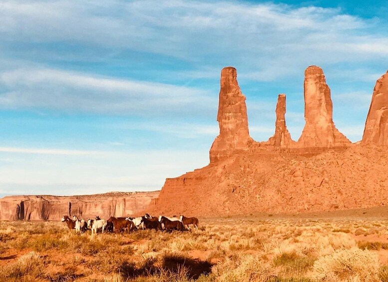 Picture 4 for Activity Monument Valley: 3-Hour Sunrise Tour with Navajo Guide