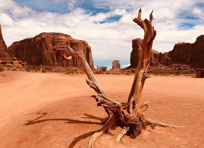 Picture 3 for Activity Monument Valley: 3-Hour Sunrise Tour with Navajo Guide