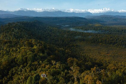 Franz Josef: Half-Day Guided Tour to Okarito