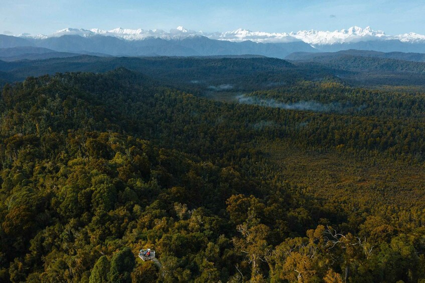 Franz Josef: Half-Day Guided Tour to Okarito