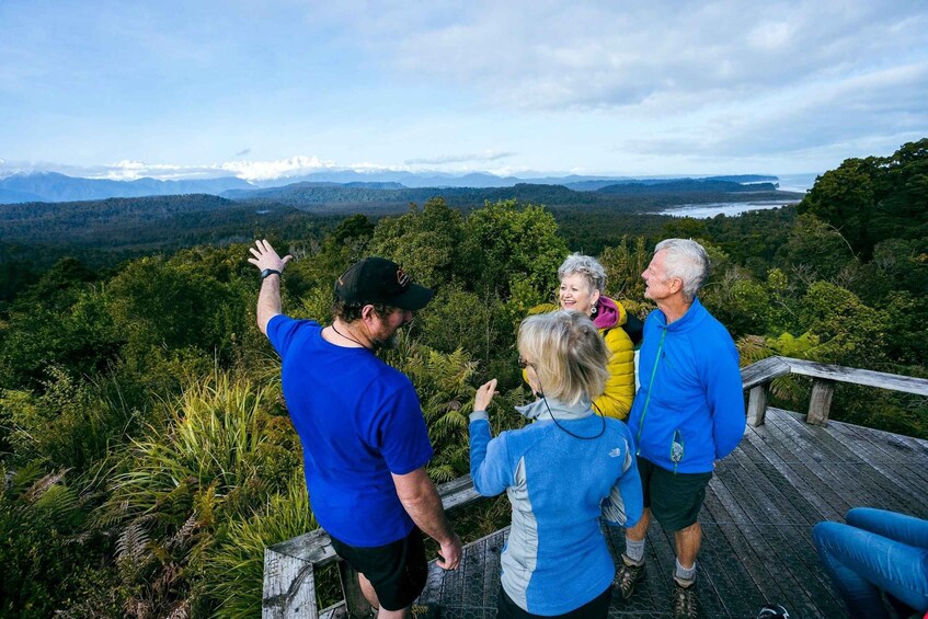 Picture 4 for Activity Franz Josef: Half-Day Guided Tour to Okarito