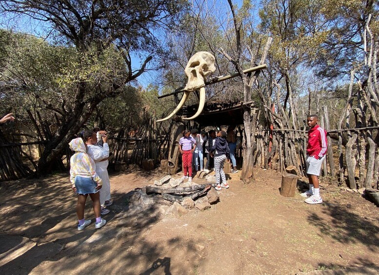 Picture 28 for Activity Johannesburg: Lesedi Cultural Village Experience