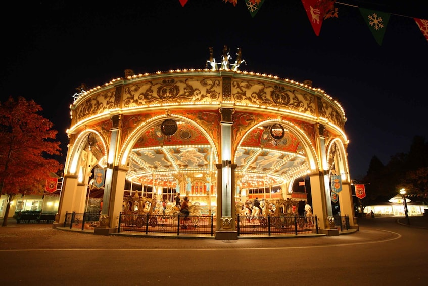 Picture 8 for Activity From Seoul: Everland Admission Ticket with Transfer