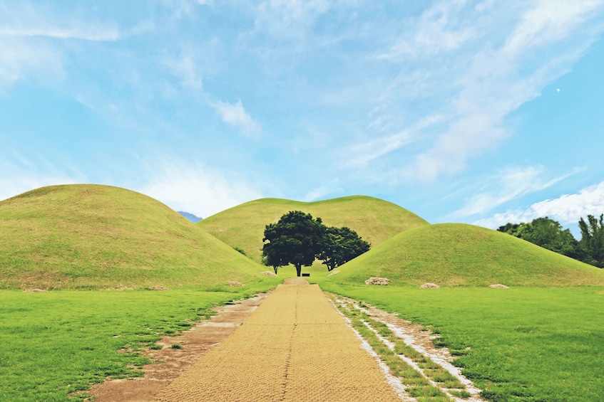 Picture 12 for Activity Busan: Gyeongju UNESCO World Heritage Guided Day Tour