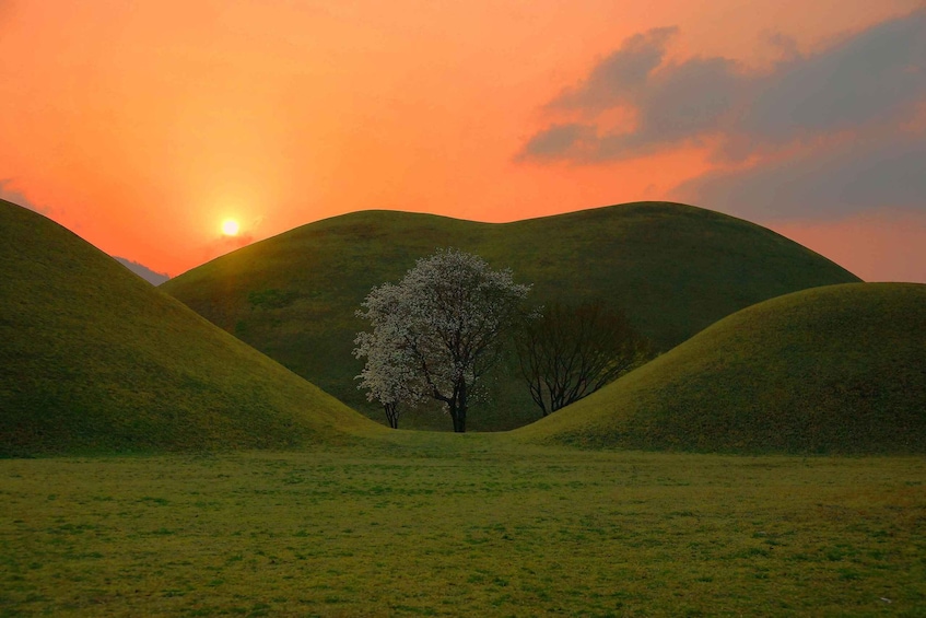 Picture 14 for Activity Busan: Gyeongju UNESCO World Heritage Guided Day Tour