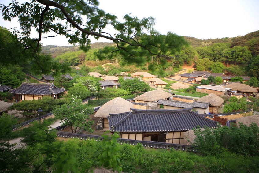 Picture 8 for Activity Busan: Gyeongju UNESCO World Heritage Guided Day Tour