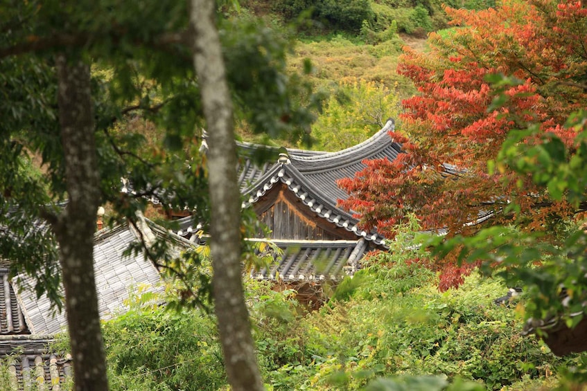 Picture 15 for Activity Busan: Gyeongju UNESCO World Heritage Guided Day Tour