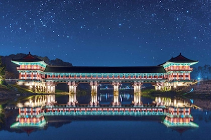 Desde Busan: visita guiada de un día a Gyeongju Patrimonio Mundial de la UN...