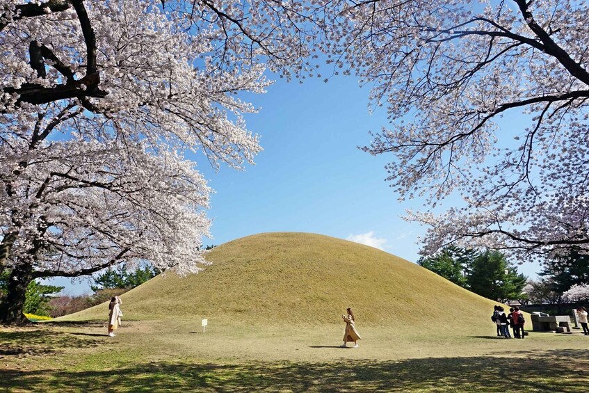 Picture 10 for Activity Busan: Gyeongju UNESCO World Heritage Guided Day Tour