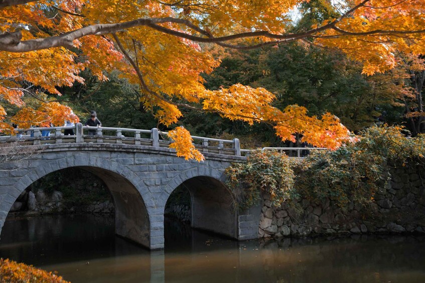 Picture 7 for Activity Busan: Gyeongju UNESCO World Heritage Guided Day Tour