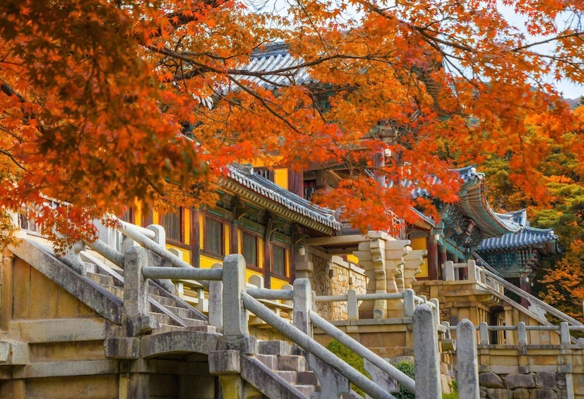 Picture 2 for Activity Busan: Gyeongju UNESCO World Heritage Guided Day Tour