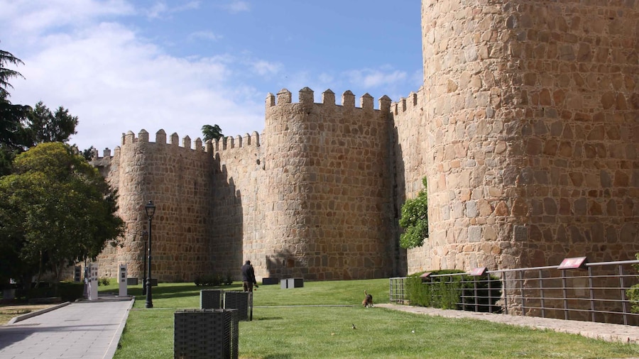 From Madrid: Avila and Segovia Full-Day Tour