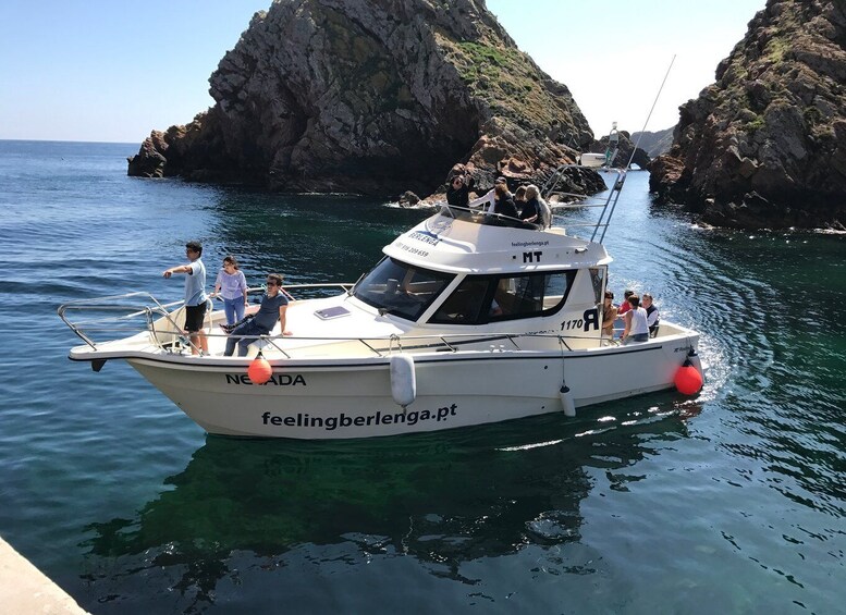 Picture 4 for Activity From Peniche: Round-Trip Boat Tour of Berlengas Archipelago