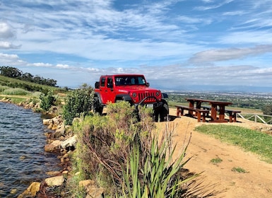 Cape Town: Private Jeep Constantia Wine Tour with Tastings