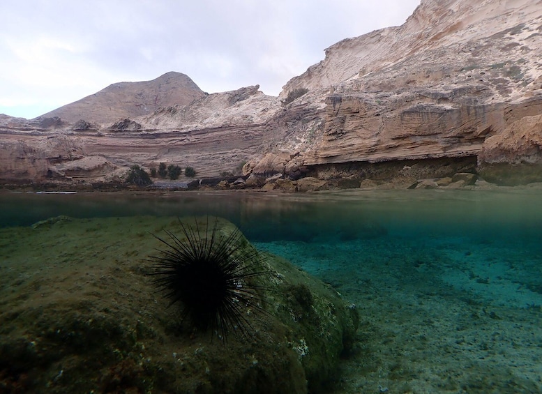 Picture 1 for Activity Porto Santo: Snorkeling Tour