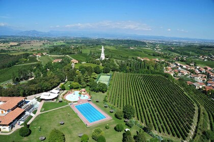 Custoza: entrada sin colas al parque acuático Picoverde