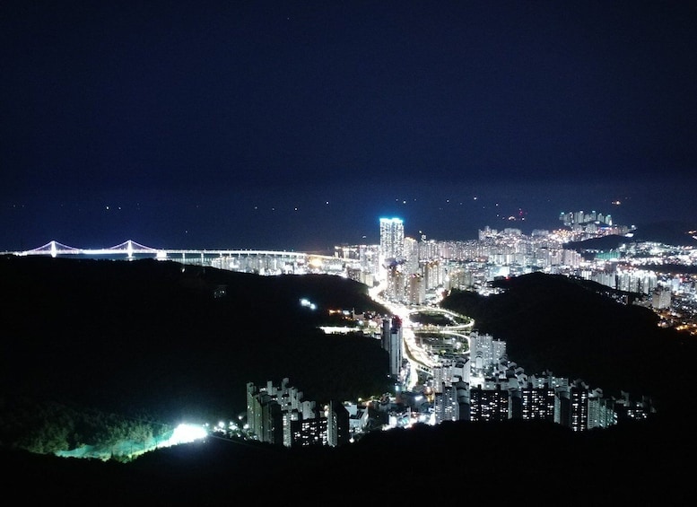 Picture 5 for Activity Busan: Night Viewpoints with Evening Cruise w/ Fireworks