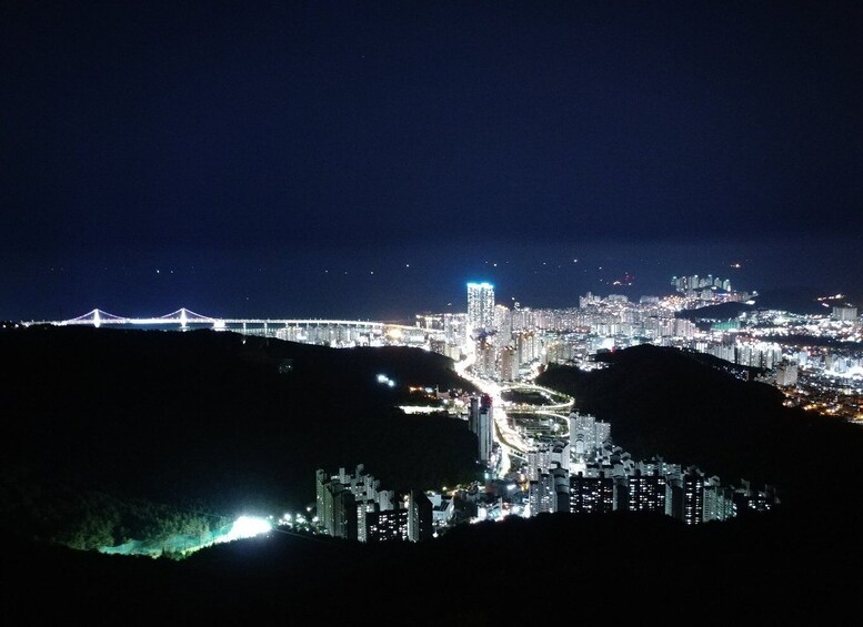 Picture 5 for Activity Busan: Night Viewpoints with Evening Cruise w/ Fireworks