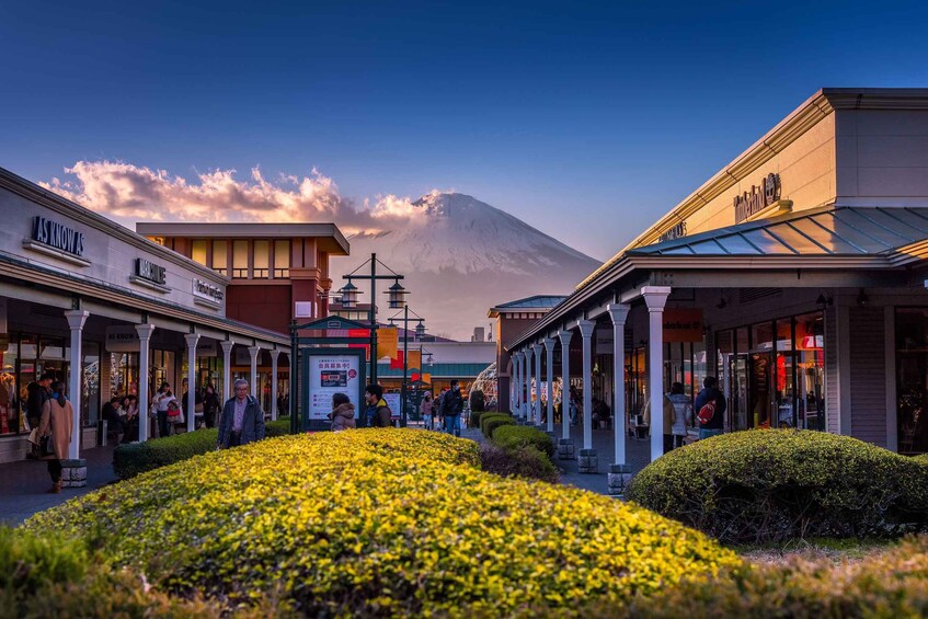 Picture 2 for Activity Tokyo: Hakone Fuji Day Tour w/ Cruise, Cable Car, Volcano