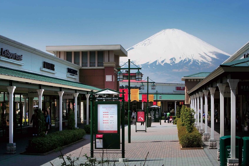 Picture 8 for Activity Tokyo: Hakone Fuji Day Tour w/ Cruise, Cable Car, Volcano