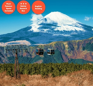 Tokio: Hakone Fuji Tagestour mit Schifffahrt, Seilbahn, Vulkan