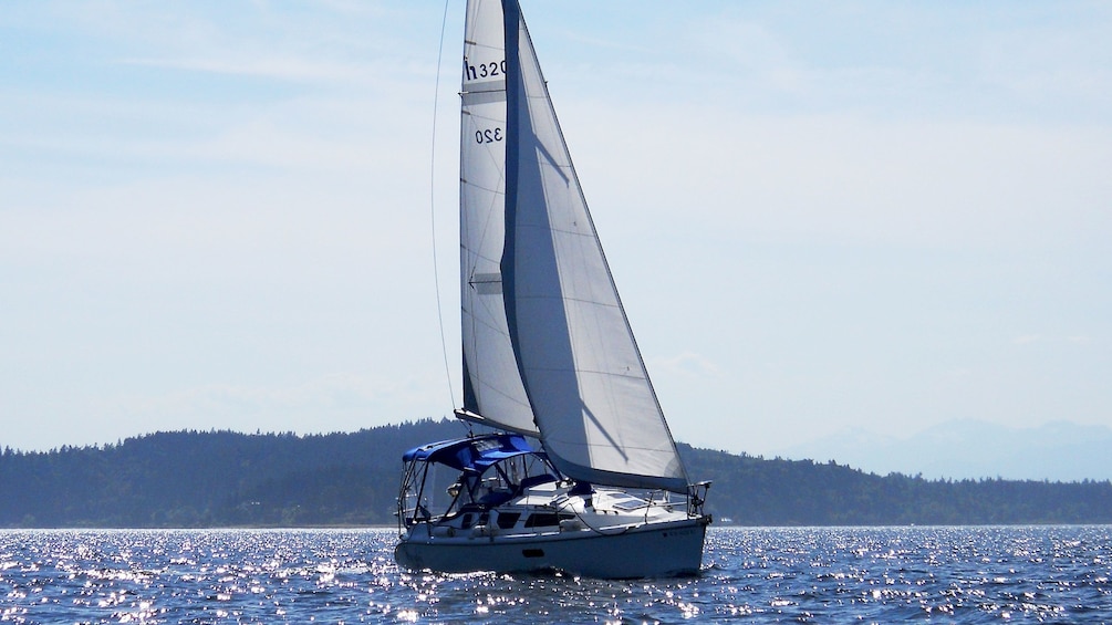 Private Puget Sound Sailing Cruise