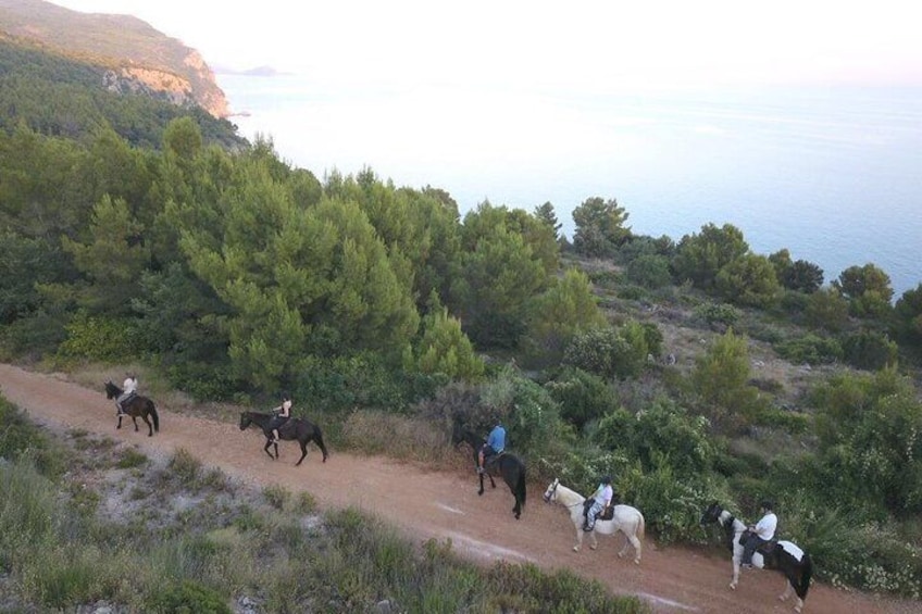 Horseback Riding in Konavle Region with Transport from Dubrovnik