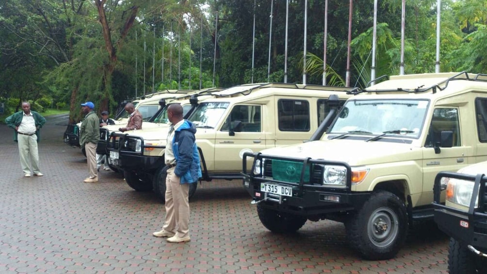 Picture 1 for Activity Arusha: Tarangire National Park Full-Day Wildlife Safari