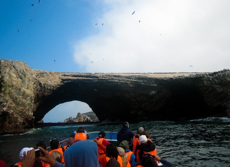 Picture 1 for Activity From Lima: Paracas Full Day Guided Tour