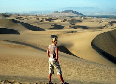 Desde Lima: Excursión guiada de un día a Paracas y Huacachina