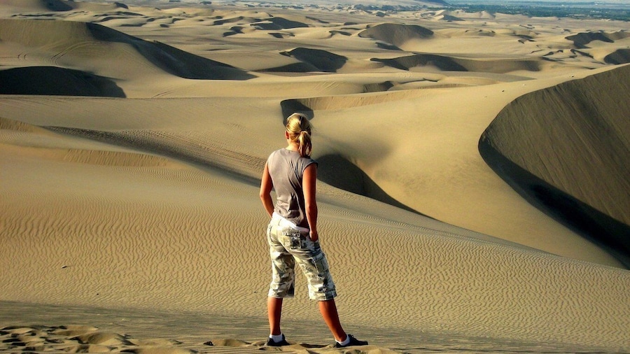 From Lima: Paracas and Huacachina Full Day Guided Tour