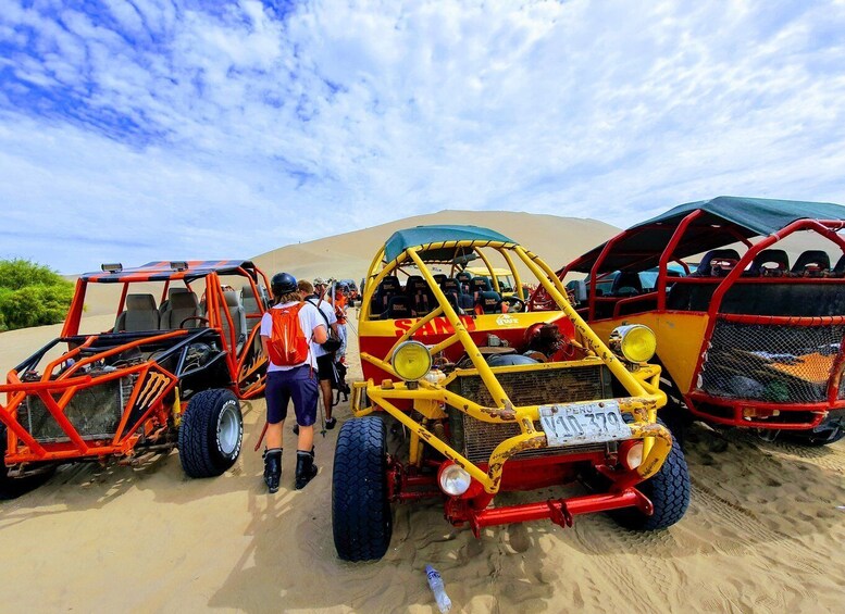 Picture 13 for Activity From Lima: Paracas and Huacachina Full Day Guided Tour