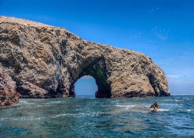 Limasta: Paracas ja Huacachina kokopäiväinen opastettu retki