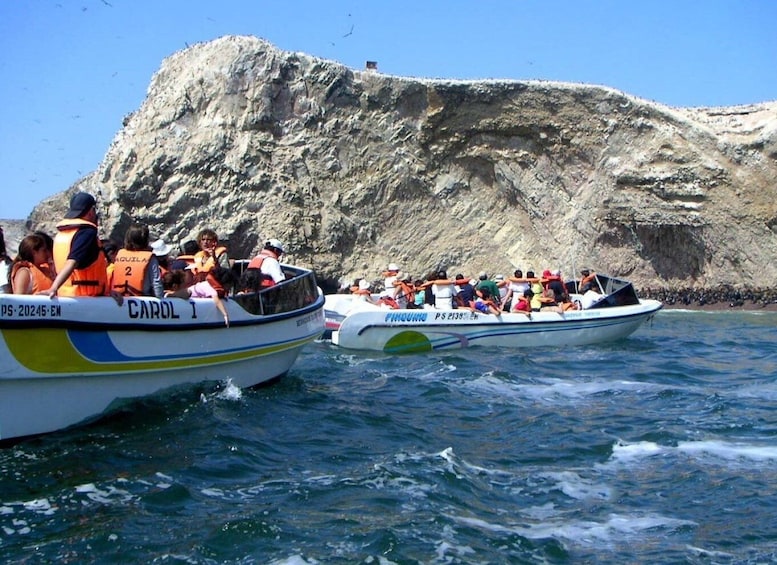 Picture 2 for Activity From Lima: Paracas Full Day Guided Tour