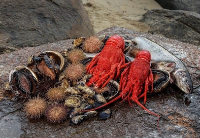 Hobart: Full-Day Tasmania Gourmet Seafood Cruise