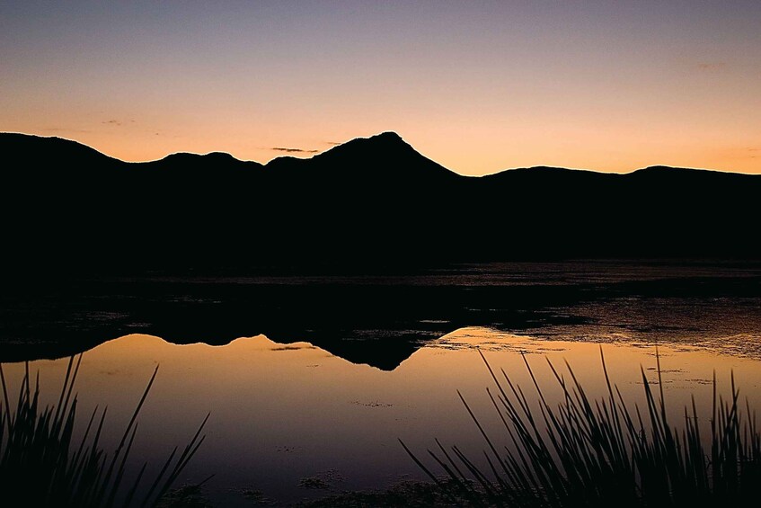 Picture 12 for Activity Cape Town: Aquila Game Reserve Day Entrance & Game Drive