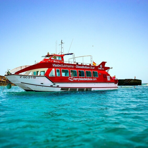 Picture 2 for Activity Fuerteventura: 1-Hour Mini Swim & Snorkel Cruise
