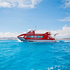 Fuerteventura: Mini-zwem- en snorkelcruise van 1 uur